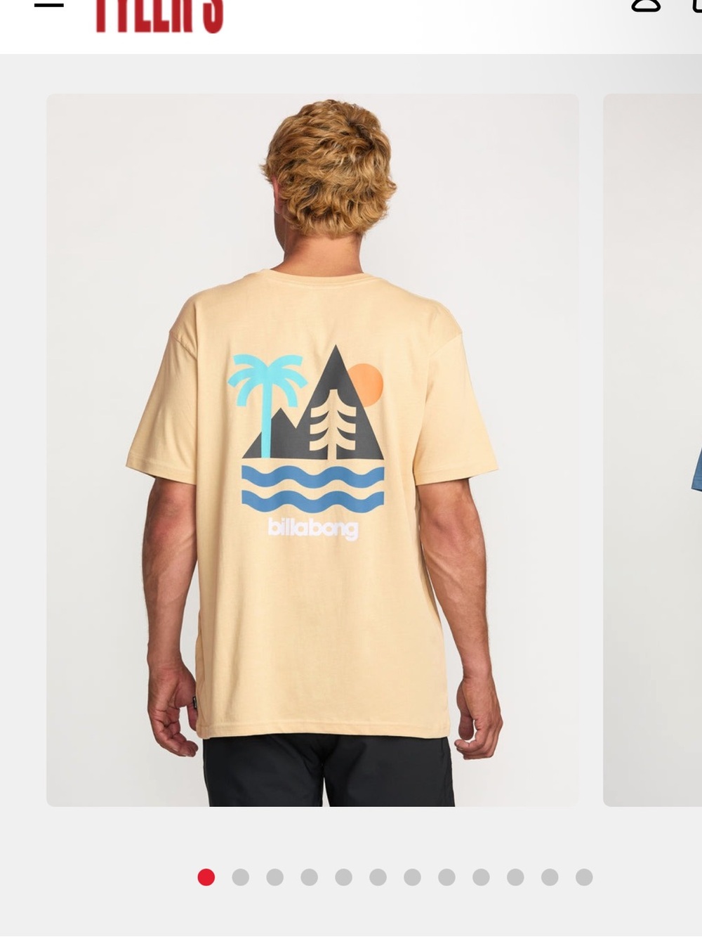 Billabong Sundown Adiv Men’s Short-Sleeve T-Shirt in Desert Sand